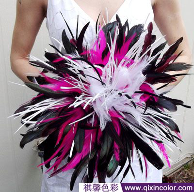 圖片6.png 圖片6.png