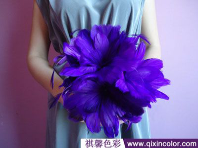 圖片4.png 圖片4.png