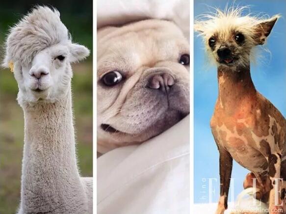 服飾搭配 服飾搭配