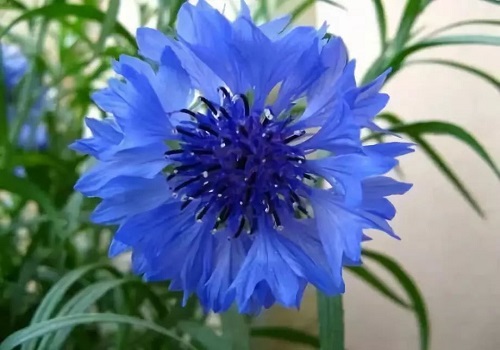 色彩搭配師培訓(xùn)學(xué)校 色彩搭配師培訓(xùn)學(xué)校