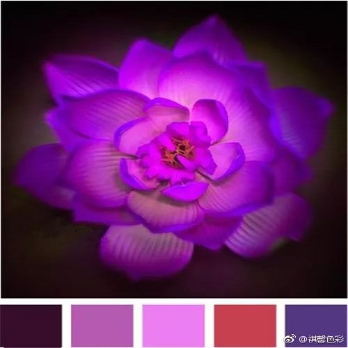 色彩搭配師培訓(xùn)學(xué)校 色彩搭配師培訓(xùn)學(xué)校